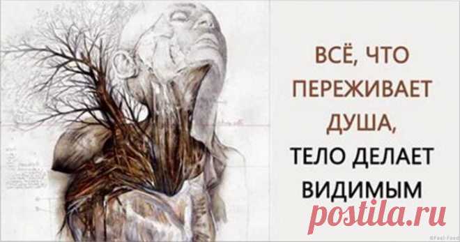 ПЕРЕЖИВАЕТЕ? ВОТ К ЧЕМУ ЭТО МОЖЕТ ПРИВЕСТИ