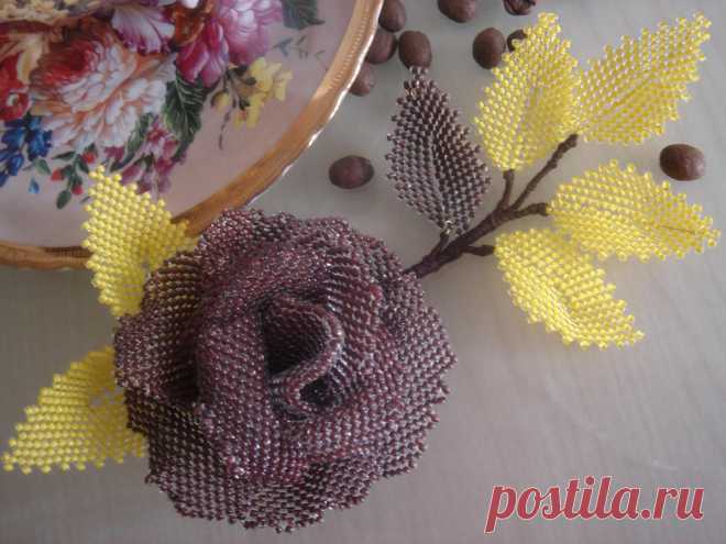 Роза "Шоколадница" | biser.info - всё о бисере и бисерном творчестве