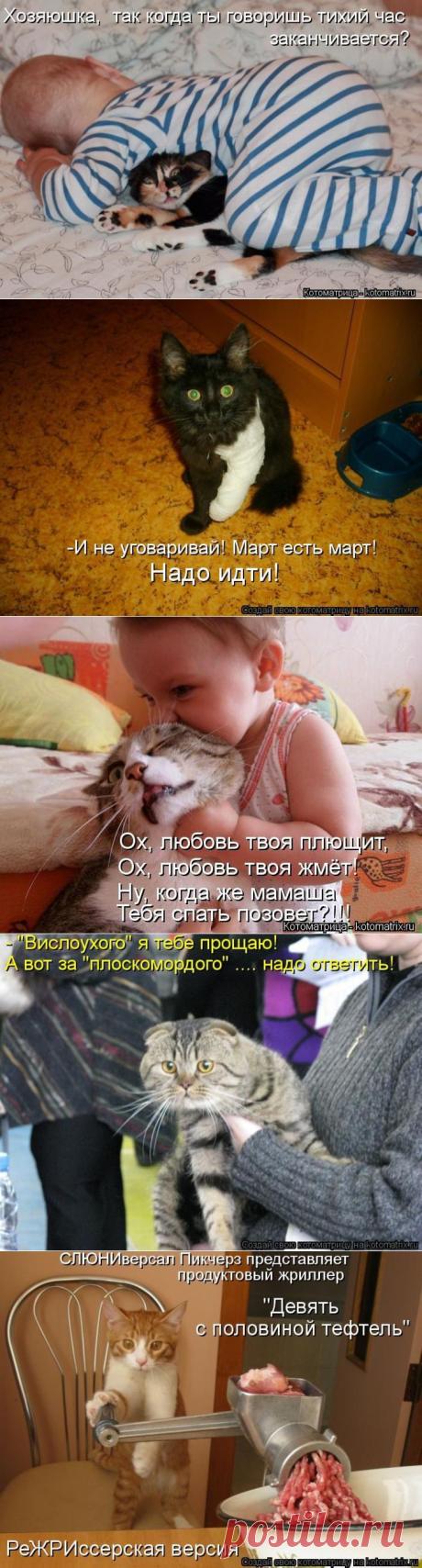 Лучшие котоматрицы / Писец - приколы интернета