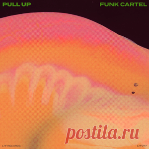 Funk Cartel - Pull Up | 4DJsonline.com