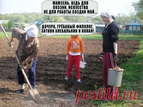Понты и просто радости жизни)