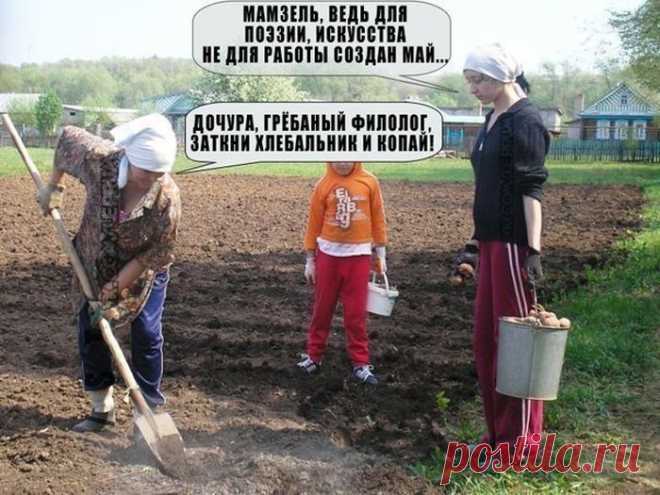 Понты и просто радости жизни)