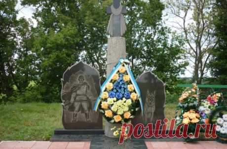 Подвиг пограничников и собак / Питомцы