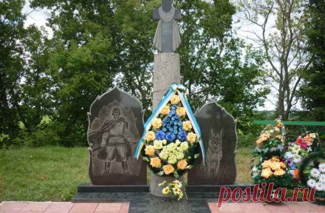 Подвиг пограничников и собак / Питомцы