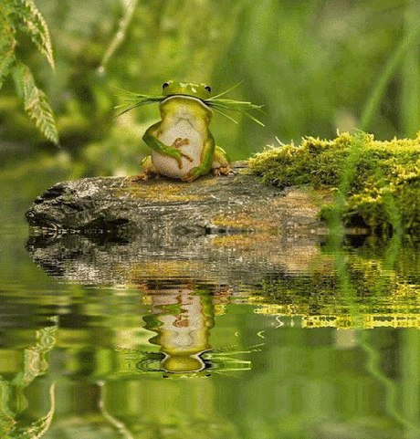 Reflection House – Google+