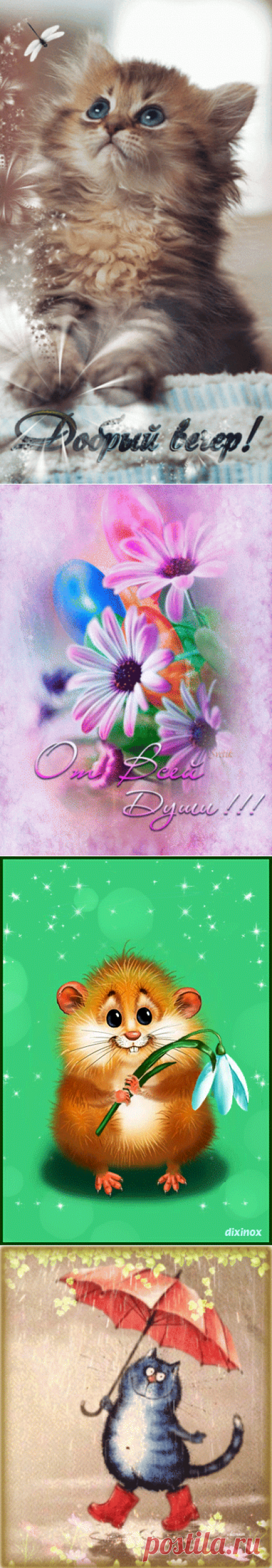 23 карточки в коллекции «гифки» пользователя Lubawuszka в Яндекс.Коллекциях