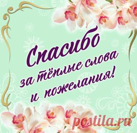 Где найти бесплатные открытки «Спасибо»

Бесплатные открытки с благодарностью доступны на различных платформах:

    Социальные сети (например, «Одноклассники»)

    Специализированные сайты с коллекциями открыток

    Сервисы с праздничными изображениями