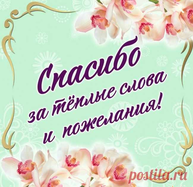Где найти бесплатные открытки «Спасибо»

Бесплатные открытки с благодарностью доступны на различных платформах:

    Социальные сети (например, «Одноклассники»)

    Специализированные сайты с коллекциями открыток

    Сервисы с праздничными изображениями