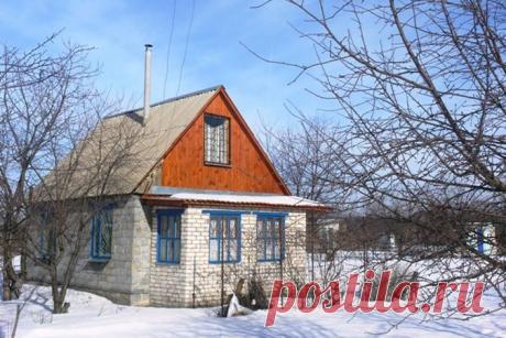 7 важных дел в мартовском саду | Дачный участок