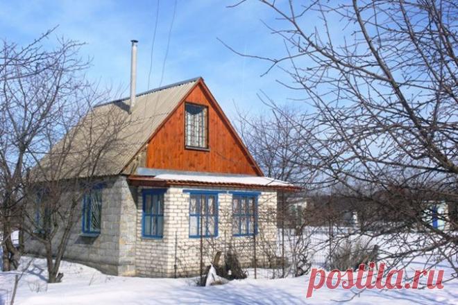 7 важных дел в мартовском саду | Дачный участок