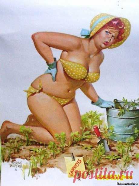 Мой блог: Хильда - очаровательная толстушка