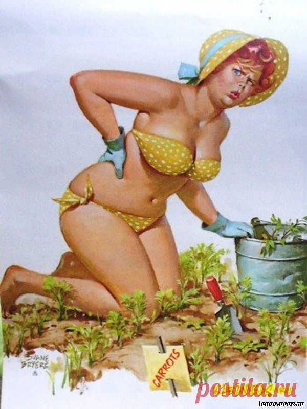 Мой блог: Хильда - очаровательная толстушка