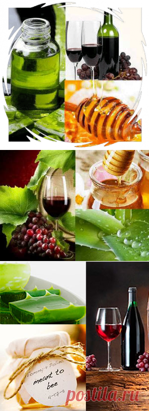 >АЛОЭ С МЕДОМ И КАГОРОМ: ТРОЙНАЯ СИЛА