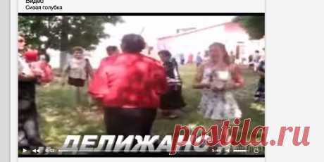 Сизая голубка - Дилижанс скачать mp3, текст песни, видео клип