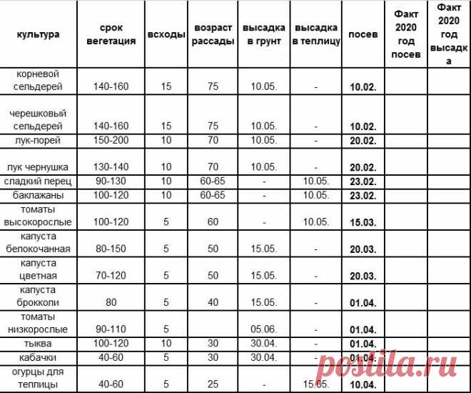 Шпаргалка по срокам посева рассады овощей. Сохраните, чтобы не забыть | Волшебная грядка | Яндекс Дзен
