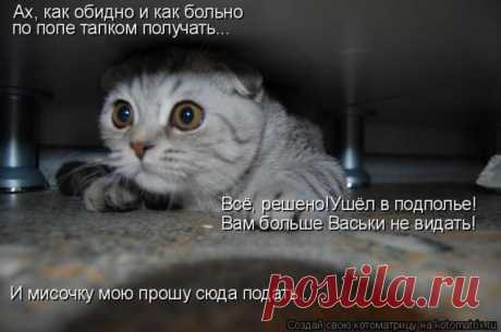 Ньюфаундленды Приморского Краевого Клуба Служебного Собаководства (продолжение)