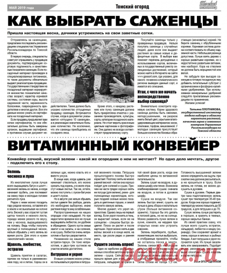 Как выбрать саженцы. Витаминный конвейер сочной зелени