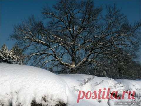 Красивая лыжня