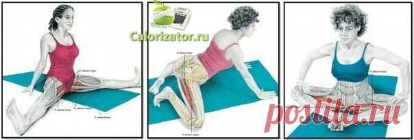Делай растяжку правильно!