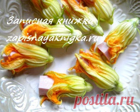 Цветы кабачков