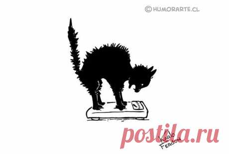 Карикатурист из Чили классно шутит без слов: сначала думаешь, что к чему, потом улыбаешься | Супер! | Яндекс Дзен