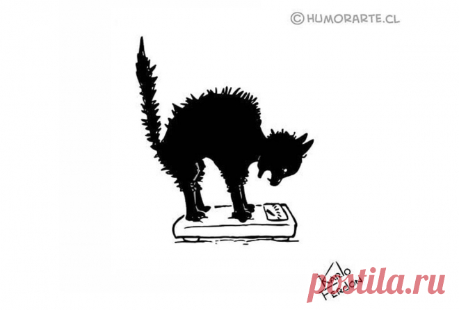 Карикатурист из Чили классно шутит без слов: сначала думаешь, что к чему, потом улыбаешься | Супер! | Яндекс Дзен