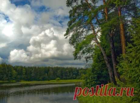 НАХМУРИЛОСЬ НЕБО КРАСИВОЕ... БРОВЯМИ ЗАДВИНУЛИСЬ ТУЧИ, ГРОХОЧУТ НЕМНОГО....Вот такая погода сейчас у нас....