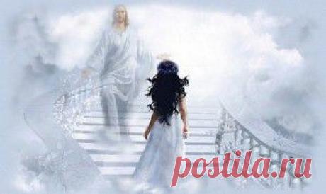 СООРУЖЕНИЕ ПРИПОДНЯТОГО ЦВЕТНИКА