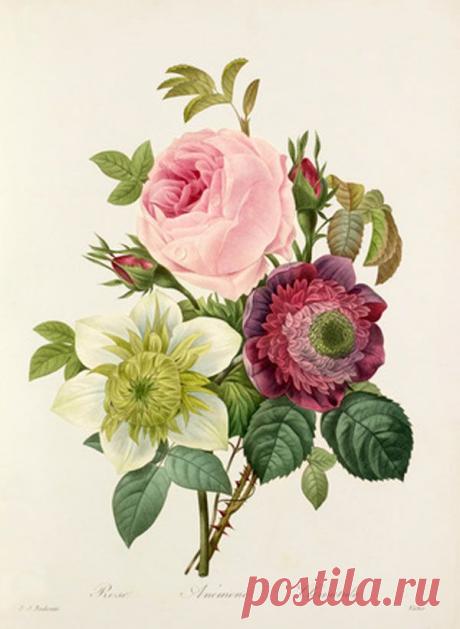 Найдено на сайте pillarboxpost.wordpress.com.