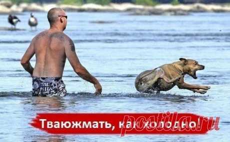 Юмор и Приколы