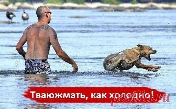 Юмор и Приколы