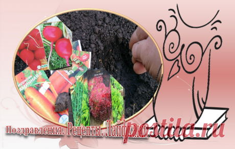 Лайфхаки для равномерного посева мелких семян - моркови, редиса, салата и других культур