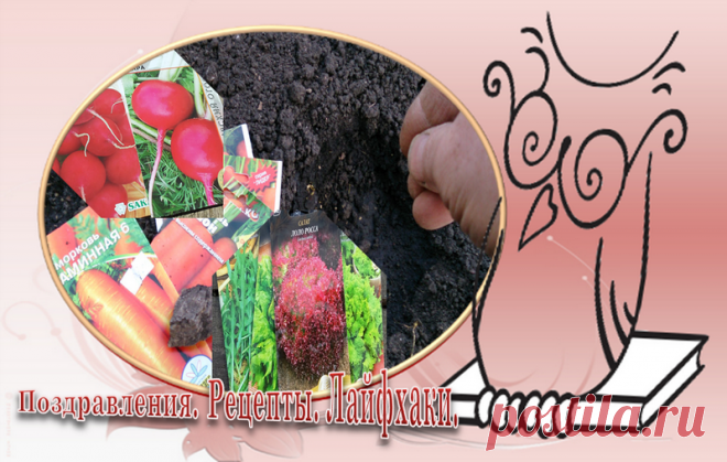 Лайфхаки для равномерного посева мелких семян - моркови, редиса, салата и других культур