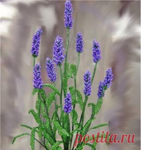 (28) Одноклассники