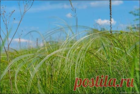 Фотопрогулки. За ароматом и за грибами. часть 1