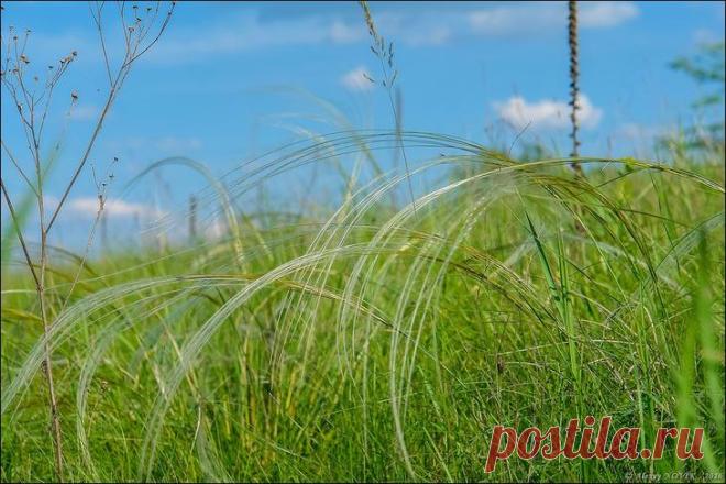 Фотопрогулки. За ароматом и за грибами. часть 1