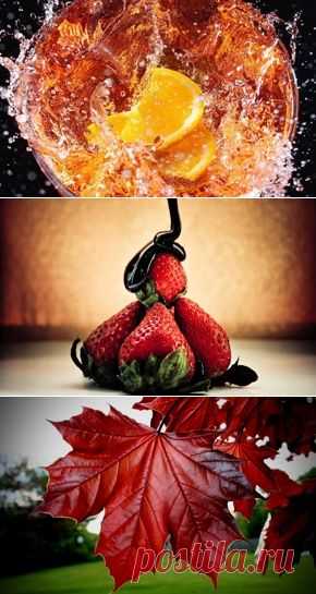 Макро обои на рабочий стол - страница 163