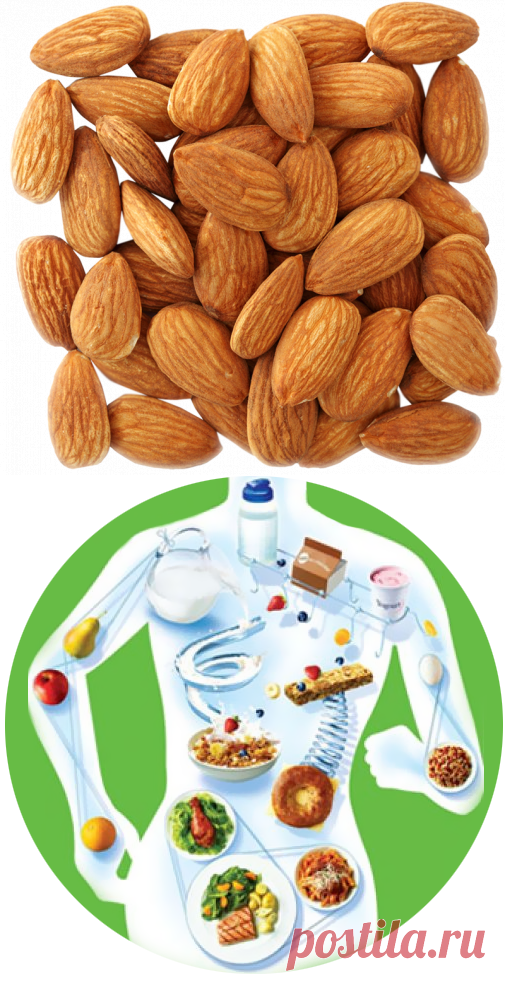 20 самых лучших продуктов для фитнес-питания