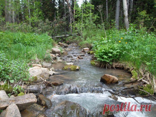 Усть-Каменогорск - наша Родина!
Татьяна )))))