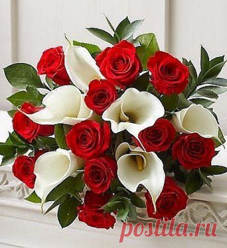 ВЕРА КУДРЯШОВА – Google+