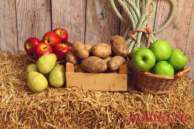 Как СОХРАНИТЬ яблоки до весны