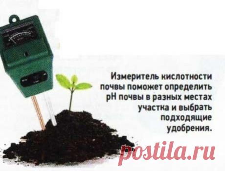 Закисление почвы. Что делать?