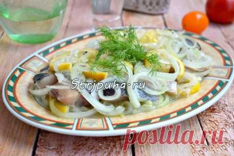 Закуска из сельди с луком и медом — Домашняя кулинария