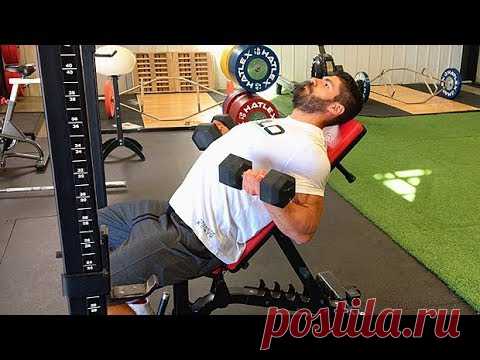 Тренажеры или свободные веса: догматы и простые ответы  Зожник.   
 Выбирайте подходящий инструмент для тренировок по своему вкусу