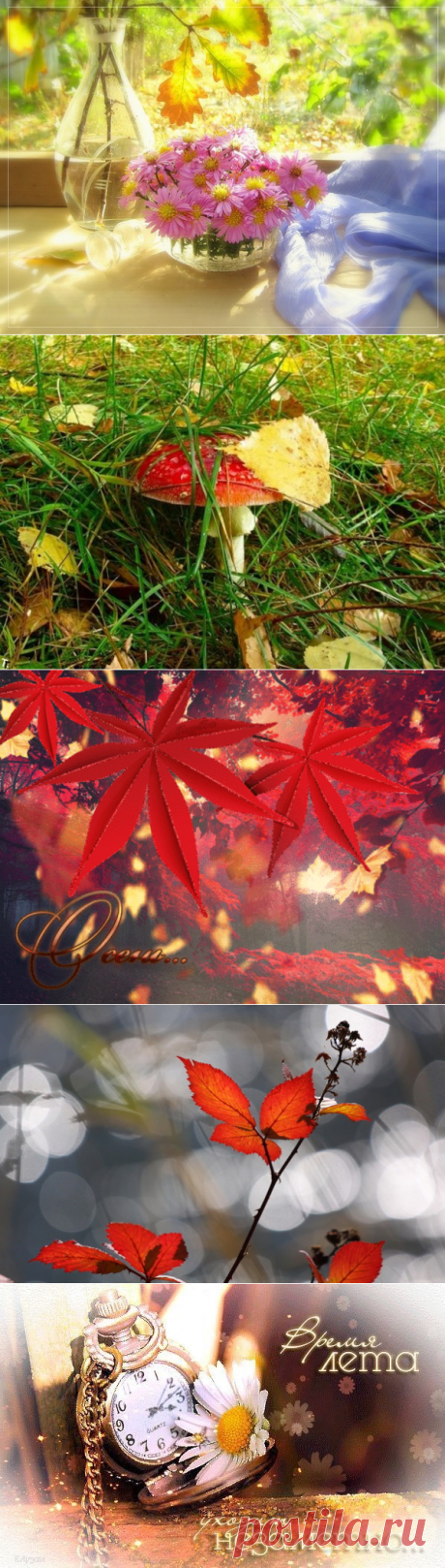 А через час начнётся осень...
Рыжей капризой, нам осень танцует,
Нас, напоследок, теплом поцелует,
Рыжие кудри, мелькнут за окошком...
Осень спесива, как дикая кошка.