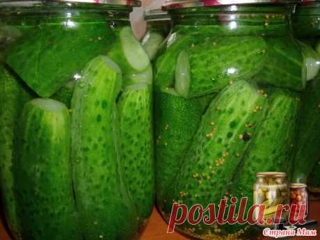 Готовимся к зиме))) Маринованные огурцы с горчичными зернами. - Сад, огород - Страна Мам