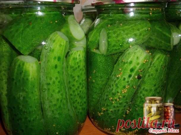 Готовимся к зиме))) Маринованные огурцы с горчичными зернами. - Сад, огород - Страна Мам