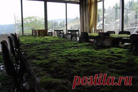 Одноклассники