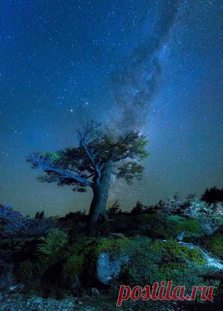 Nature's beauties. — geyashvecova: Design graphics Geya Shvecova...