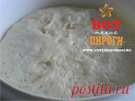 Тесто для пиццы | ВОТ ТАКИЕ ПИРОГИ